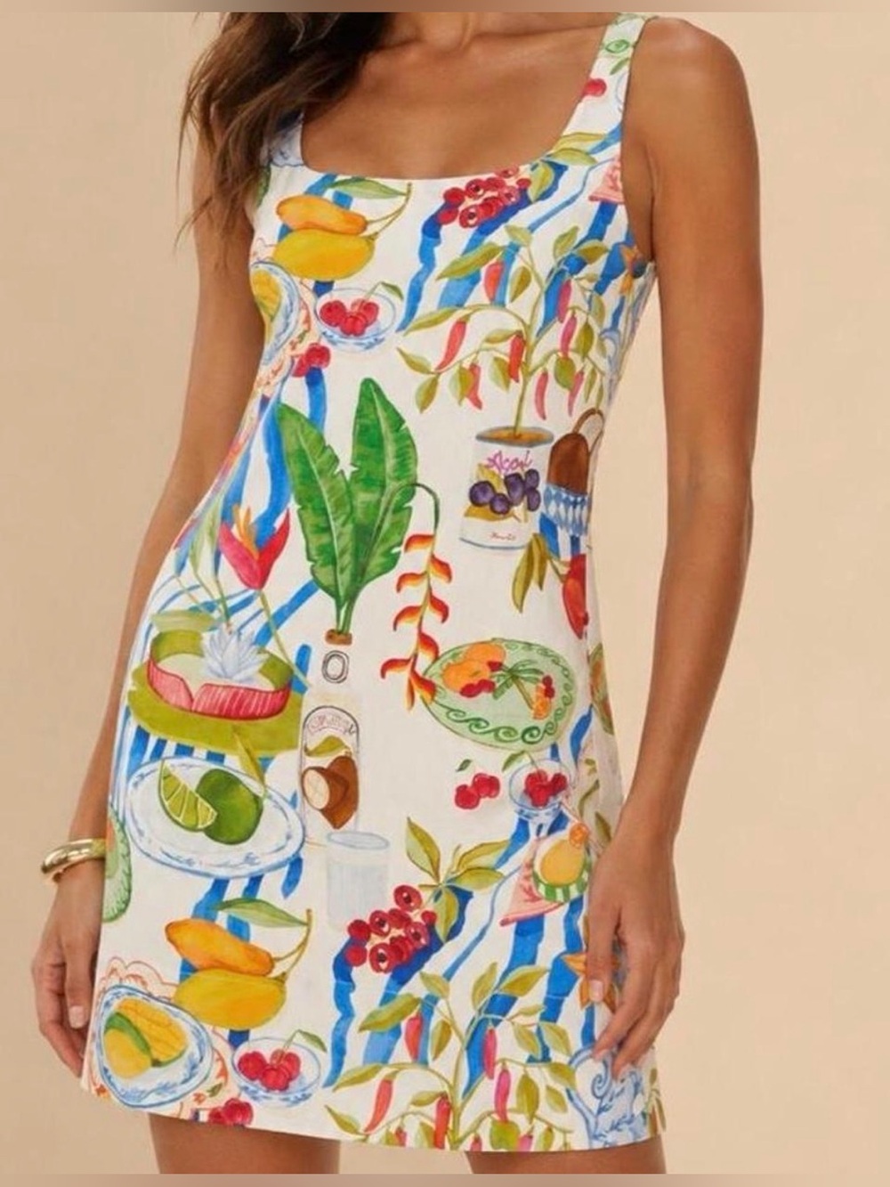 Farm-rio Women's multi Dress